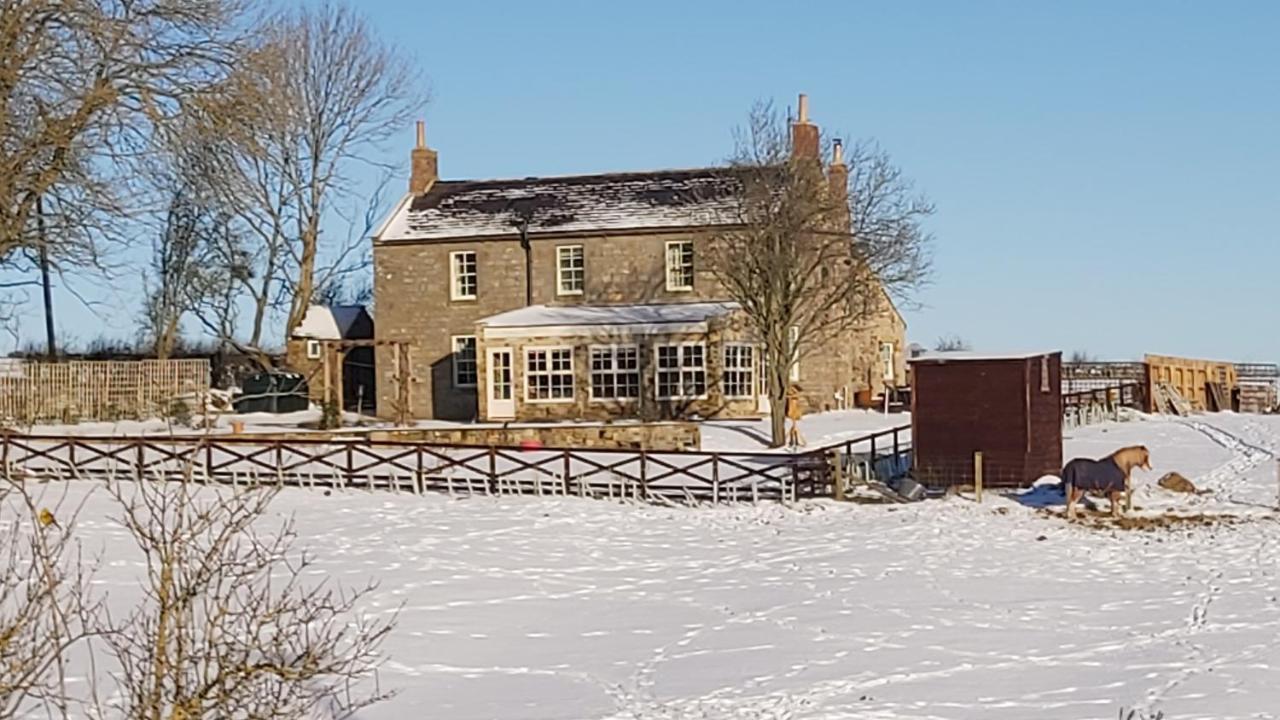 Countryside Escape - The Night Owl Bed & Breakfast Alnwick Dış mekan fotoğraf
